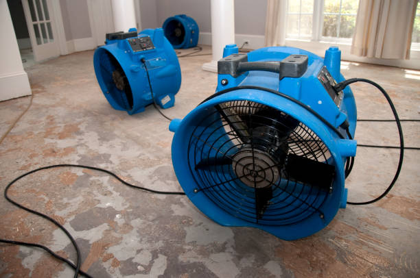 Best Sewage cleanup and water damage restoration  in Lees Summit, MO