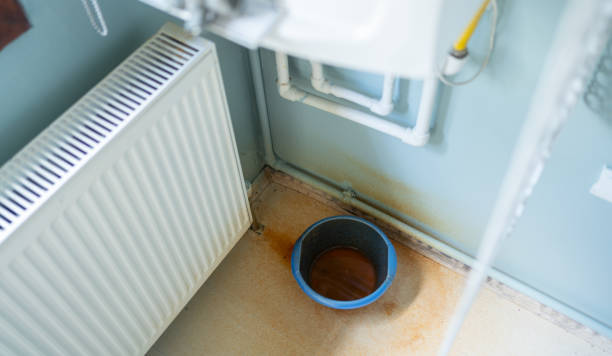 Best Commercial water damage restoration  in Lees Summit, MO