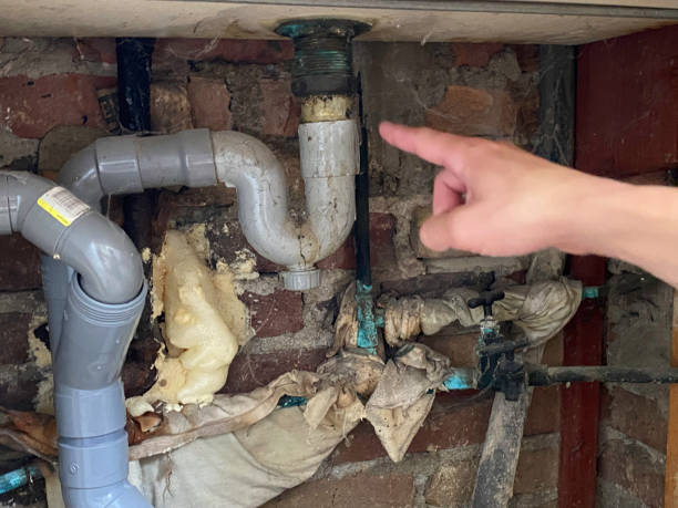 Best Water damage restoration specialists  in Lees Summit, MO